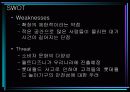 롯데월드의 분석과 마케팅 전략수립(A+레포트) 11페이지