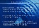 프로이드와 에릭슨 비교분석(A+레포트) 8페이지