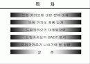 드림카카오 마케팅 분석(SWOT)-56%의 성숙함(A+레포트) 2페이지