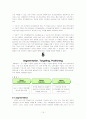 아이팟의 성공적인 마케팅 전략(A+레포트) 15페이지