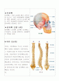 인체 골격계 조사 4페이지