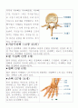 인체 골격계 조사 5페이지