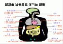 [생활건강학] 마약과 약물남용의 폐해 (담배,필로폰,알콜,마약) 16페이지