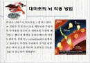 [생활건강학] 마약과 약물남용의 폐해 (담배,필로폰,알콜,마약) 21페이지
