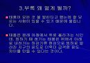 [문화의이해] 지구종말설에 대한 고찰 15페이지