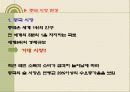 진로 그룹의 해외 진출 사례(A+레포트) 15페이지