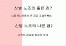 복수노조와 산별노조 + 윤리경영(노사관계론 A+) 20페이지