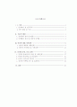4P를 중심으로 한 인터넷마케팅 연구 2페이지