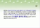 초임교사 멘토링 12페이지