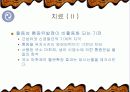 근근막 통증 증후군의 원인과 치료법 14페이지