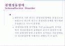 망상장애 및 기타 정신병적 장애 16페이지