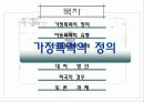 가정폭력-아동학대(A+레포트) 4페이지