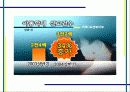 가정폭력-아동학대(A+레포트) 11페이지