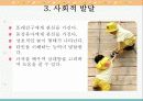 4세의 발달특징(A+레포트) 10페이지