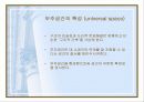 “Less is more” 미스반데로에 11페이지