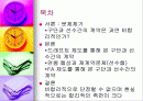 프로야구 구단과 선수간의 계약관계 2페이지