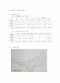 동물원 조성, 동물원 조성계획, 4페이지