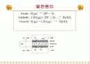 고분자 전해 연료전지 3페이지