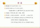 고분자 전해 연료전지 10페이지