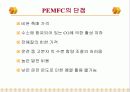 고분자 전해 연료전지 12페이지