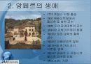 암페어[Ampere] 생애와 업적 응용분야 4페이지