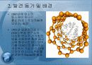탄소나노튜브 4페이지