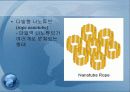 탄소나노튜브 8페이지