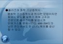 탄소나노튜브 17페이지