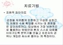 집단정신치료 발표자료 14페이지