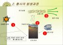 [한국환경론] 황사(Asian dust  黃砂) 5페이지