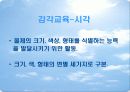 몬테소리 교구 발표 프레젠테이션 11페이지