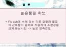 석탄회를 활용한 점토벽돌 21페이지