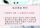 석탄회를 활용한 점토벽돌 22페이지