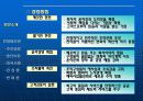 한국 전력 민영화 6페이지