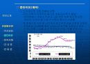 한국 전력 민영화 15페이지