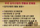 김치의 세계화 전략 6페이지