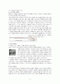 피임의 종류와 방법에 대한 체계적 정리 5페이지