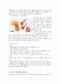 피임의 종류와 방법에 대한 체계적 정리 17페이지