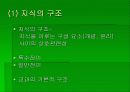 브루너의 교수학습이론 3페이지