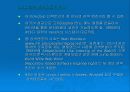비교구매와 에이전트에 대해 알아보도록 하자 5페이지