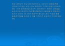 비교구매와 에이전트에 대해 알아보도록 하자 11페이지