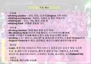 사업계획서(남성의류쇼핑몰 클럽의상) 14페이지