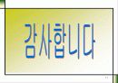 다음과 네이버의 성공사례 17페이지