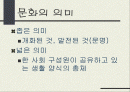 문화의 이해와 세계화 2페이지