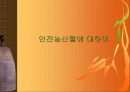 안전농산물에 대하여 1페이지