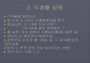 한국인의 식생활과 영양실태 13페이지