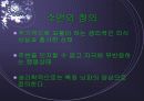 수면과 건강 3페이지