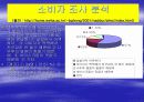 나뚜루의 마케팅 전략 8페이지