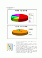 [경영전략][해외진출사례]진로의 국제화 전략 5페이지