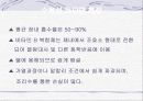 비타민의 정의 발견 및 명명 지용성 수용성 비타민 8페이지